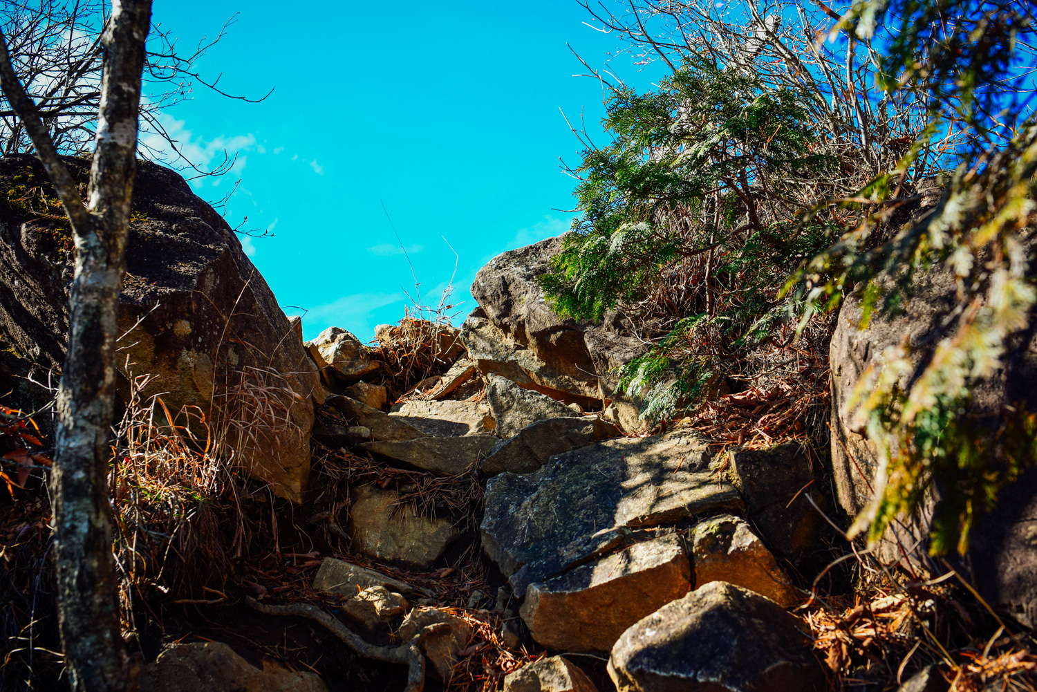 f:id:sakemaro:20160105000607j:plain f:id:sakemaro:20160105000607j:plain