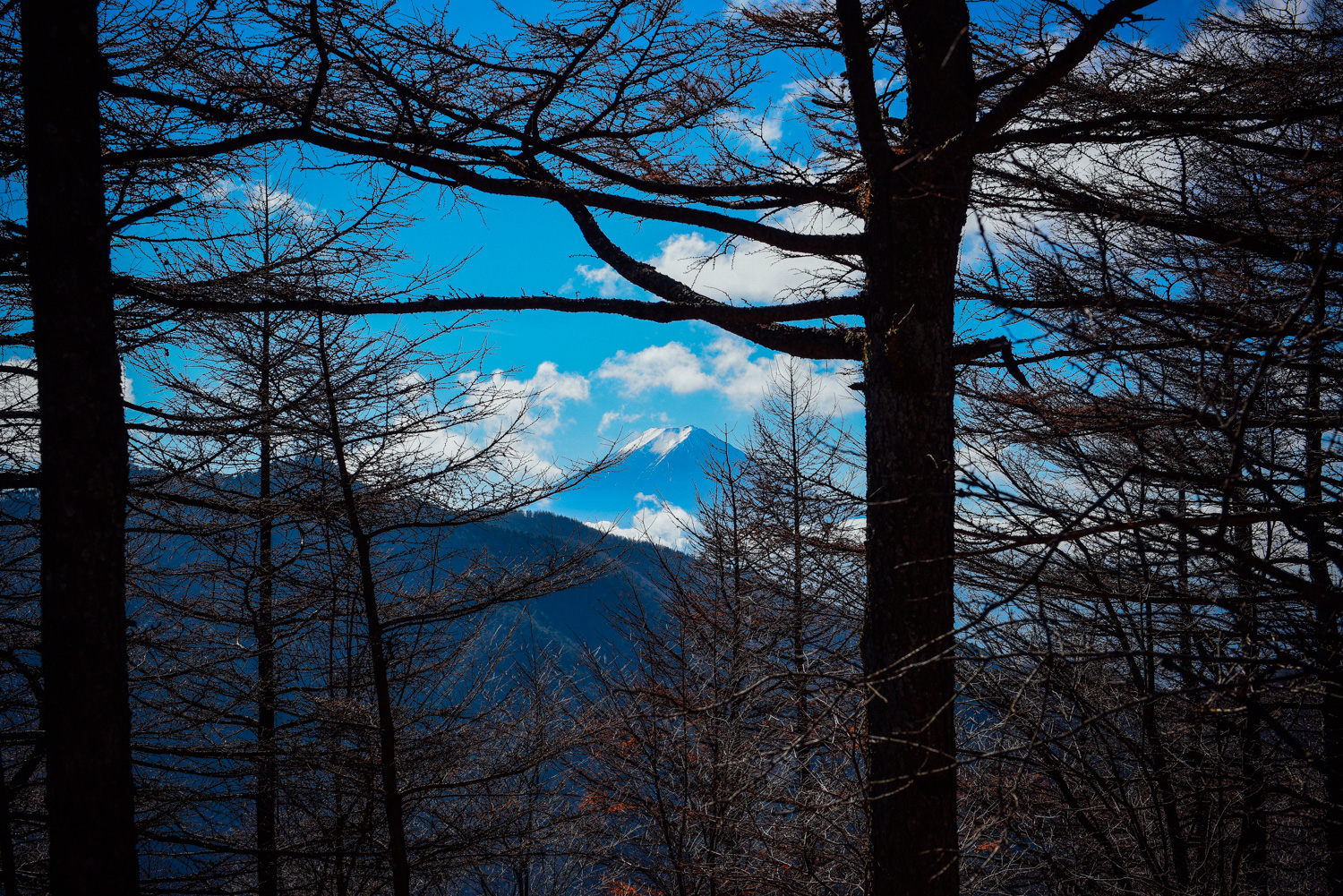 f:id:sakemaro:20160105000608j:plain f:id:sakemaro:20160105000608j:plain