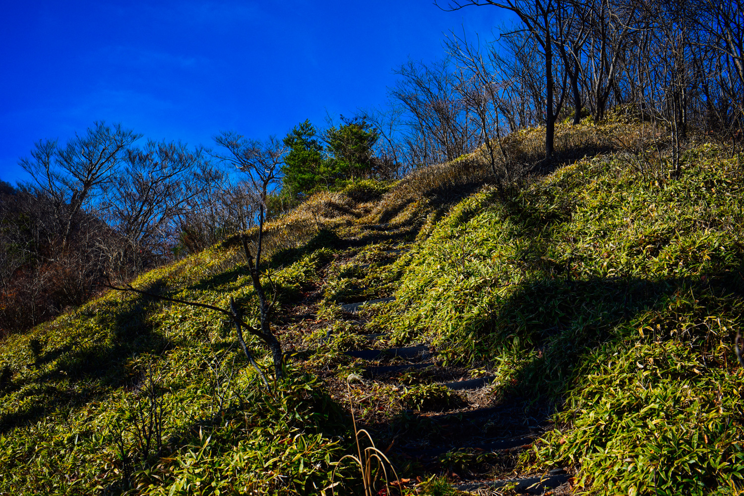 f:id:sakemaro:20160105000612j:plain f:id:sakemaro:20160105000612j:plain