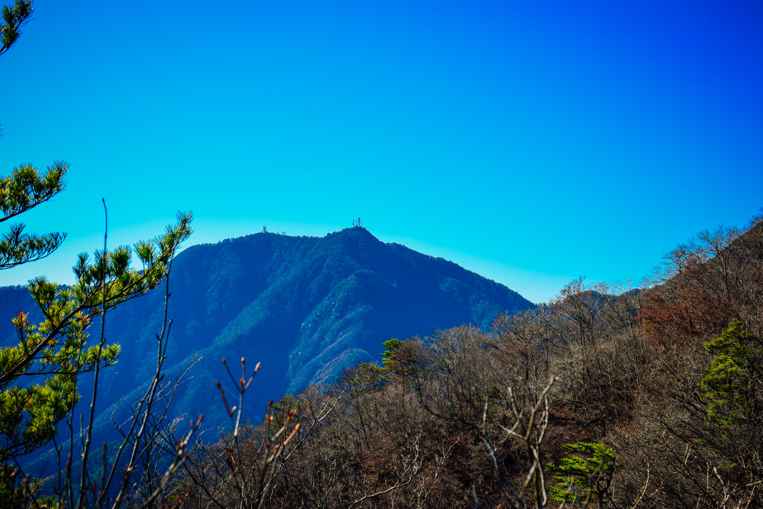 f:id:sakemaro:20160105000619j:plain f:id:sakemaro:20160105000619j:plain