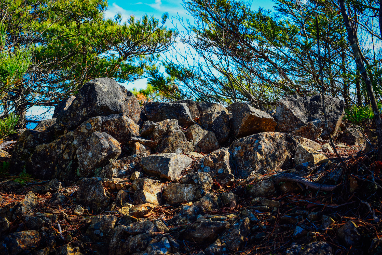 f:id:sakemaro:20160105000620j:plain f:id:sakemaro:20160105000620j:plain