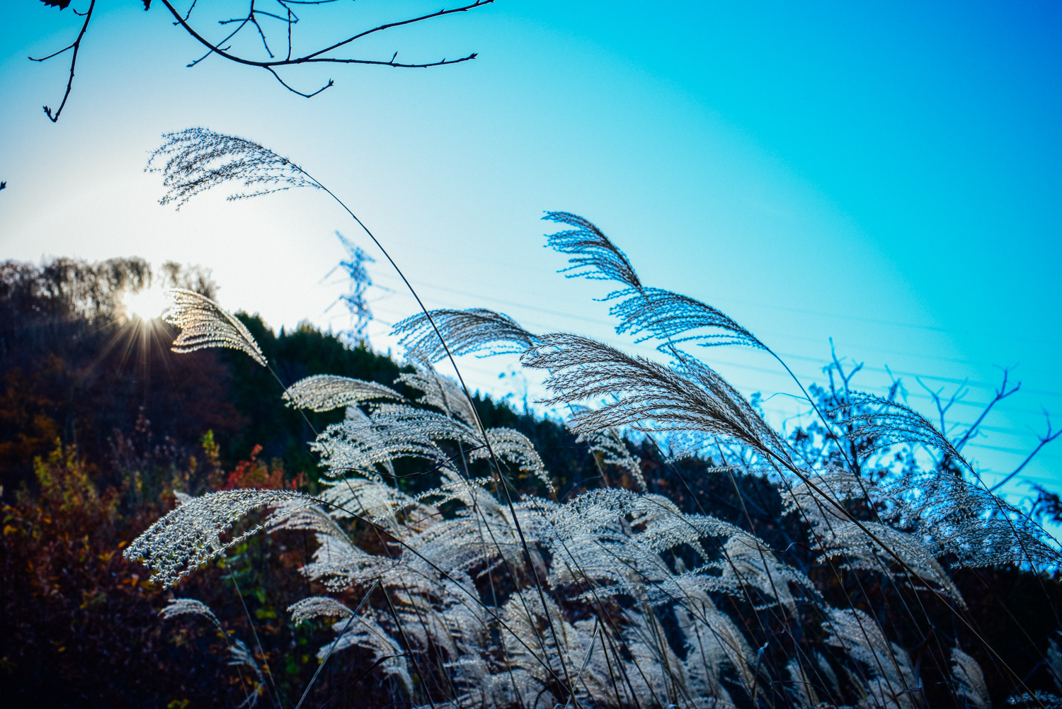 f:id:sakemaro:20160105000628j:plain f:id:sakemaro:20160105000628j:plain