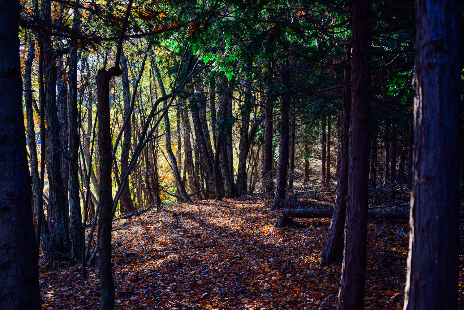 f:id:sakemaro:20160105000631j:plain f:id:sakemaro:20160105000631j:plain