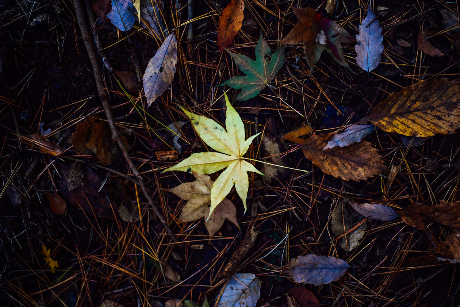 f:id:sakemaro:20160105000636j:plain f:id:sakemaro:20160105000636j:plain