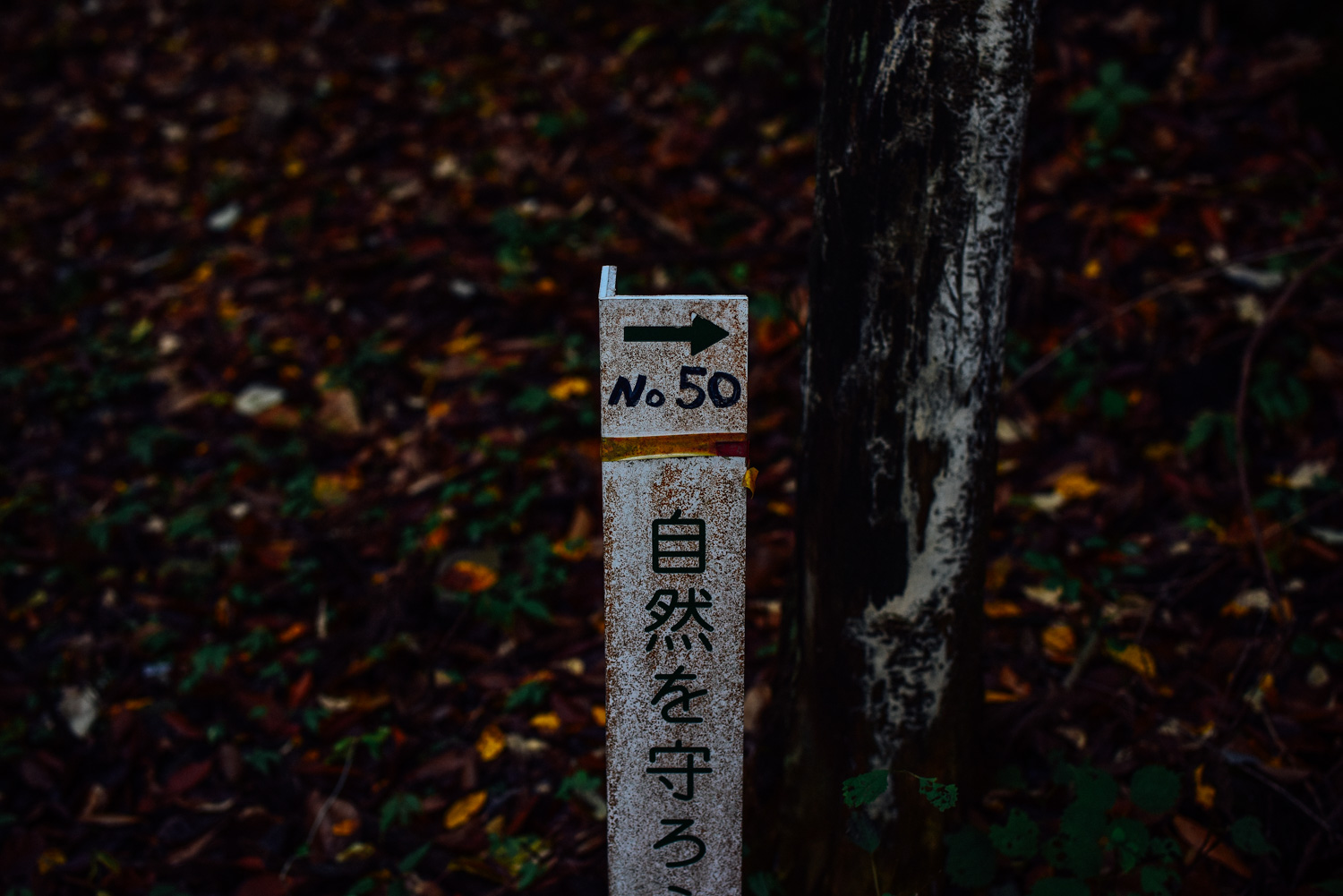 f:id:sakemaro:20160105000637j:plain f:id:sakemaro:20160105000637j:plain