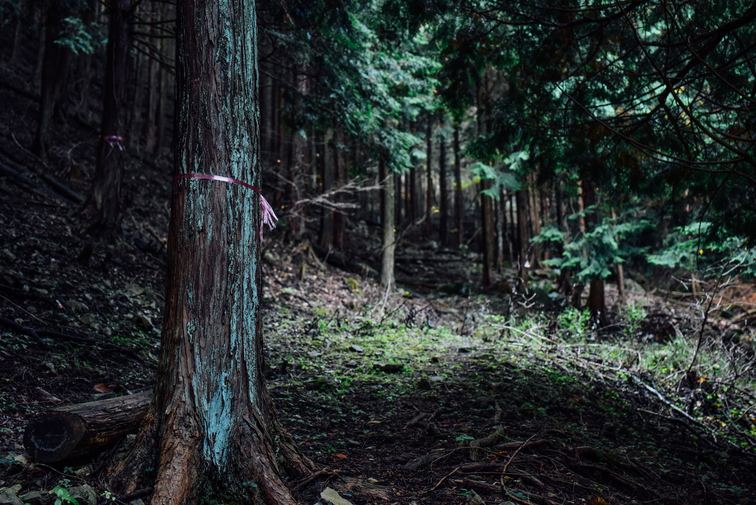 f:id:sakemaro:20160105000638j:plain f:id:sakemaro:20160105000638j:plain